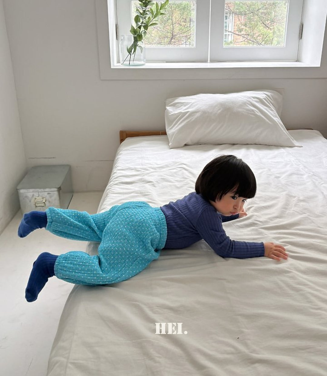 [Hei]ドットPT