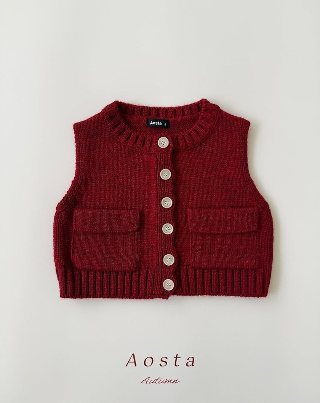 [AOSTA]Knit Cookie Vest