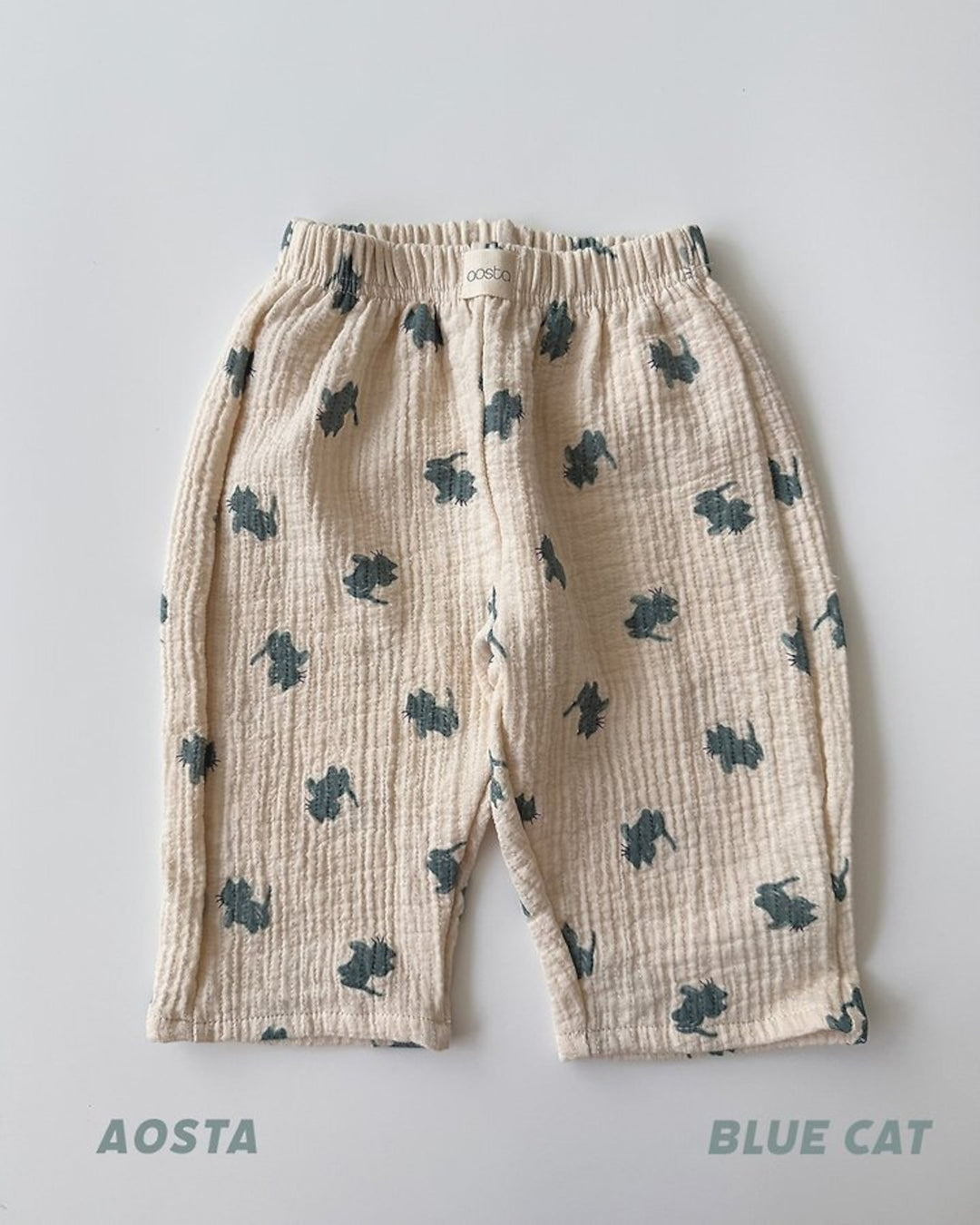 [AOSTA]Signature Pants