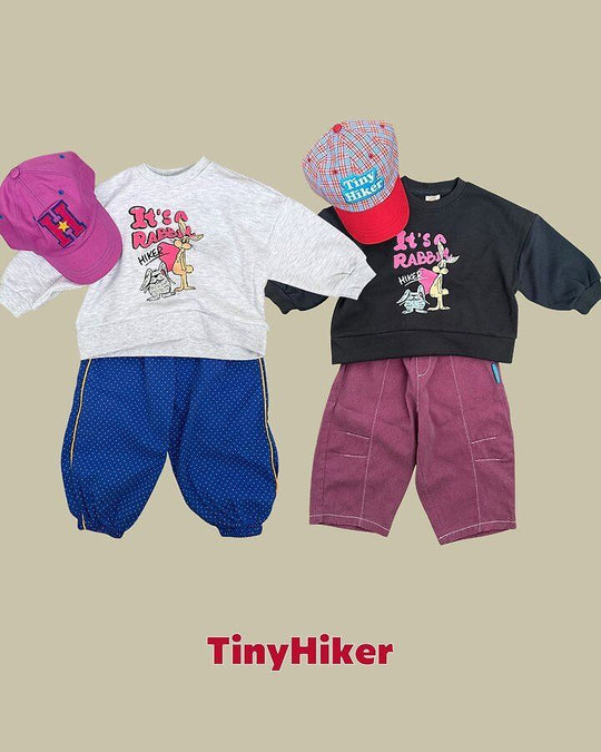 [TinyHiker]ナナドットPT