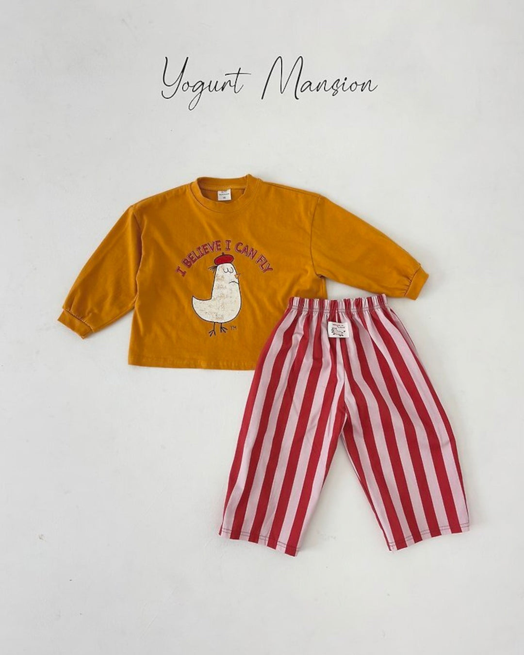 [yogurt mansion]bird T