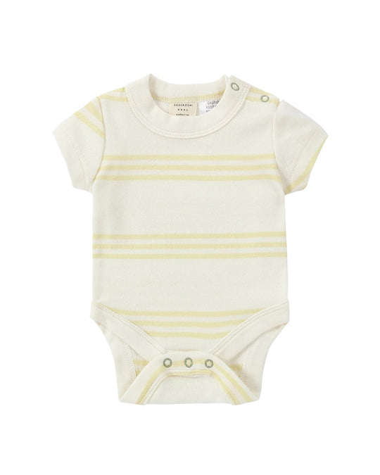 [SUSUKOSHI]Classic Suit