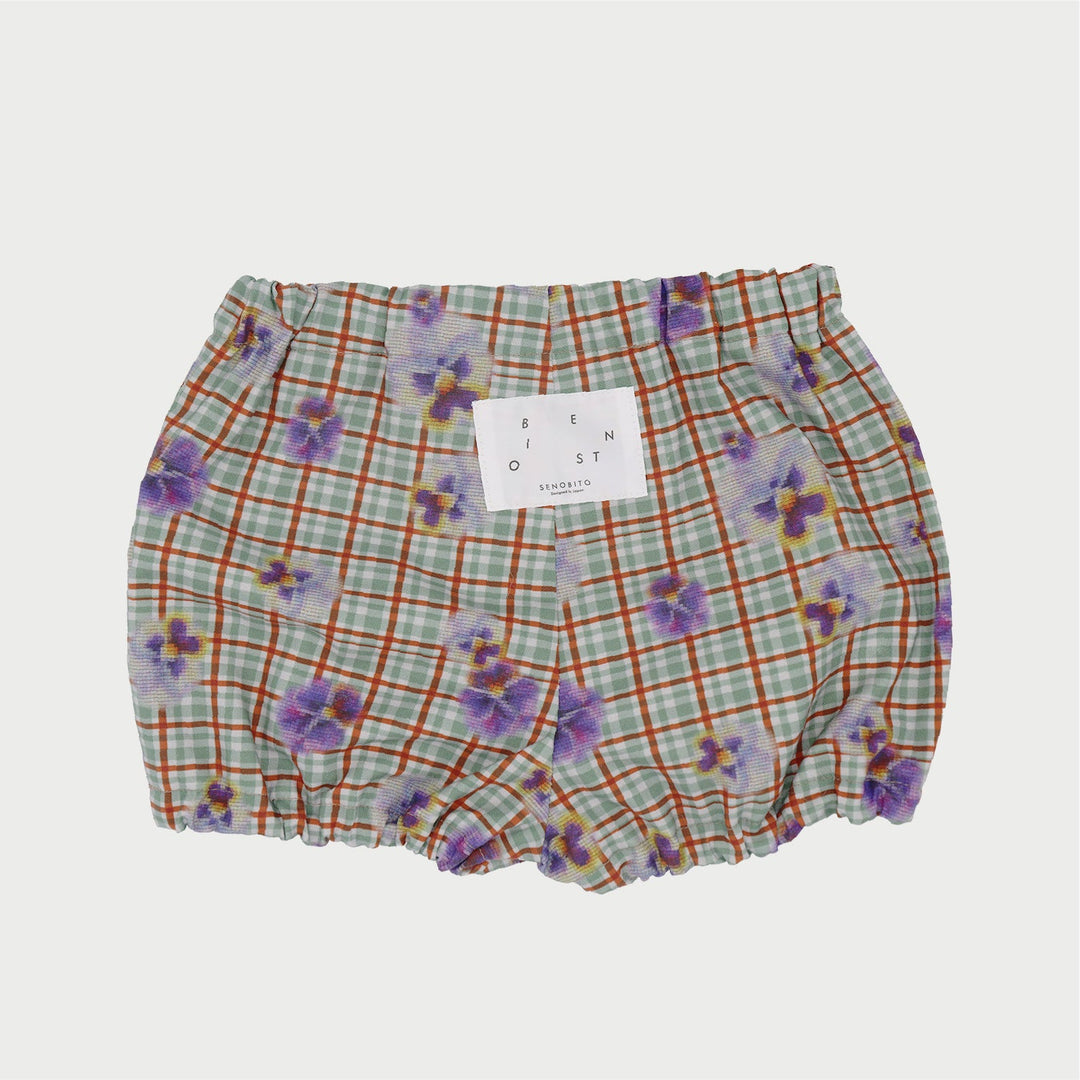 [SENOBITO]パンジー 3種類