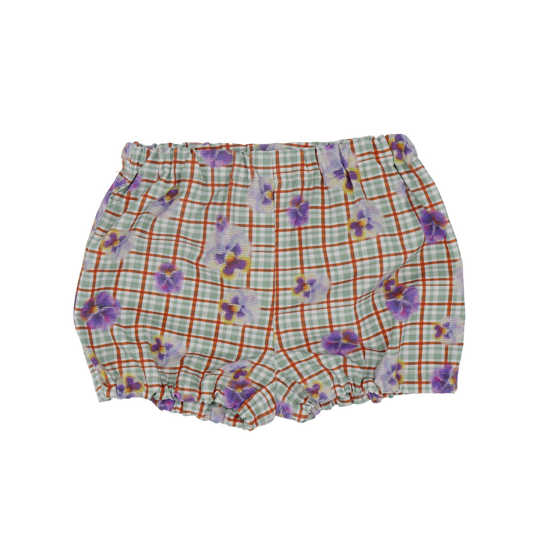 [SENOBITO]パンジー 3種類