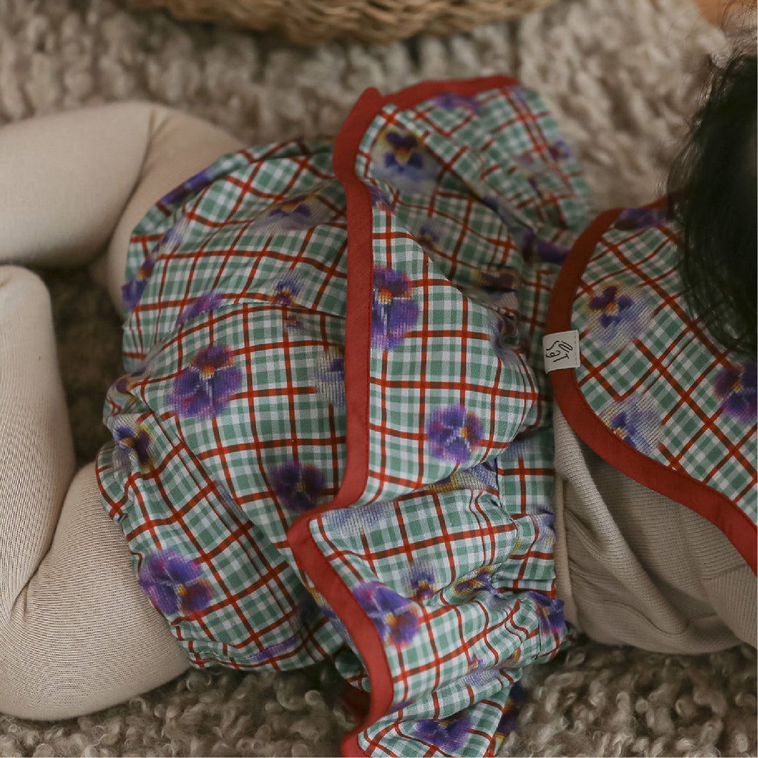 [SENOBITO]パンジー 3種類