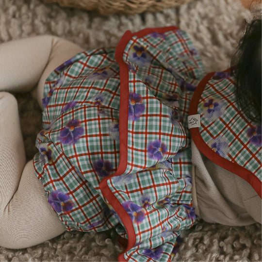 [SENOBITO]パンジー 3種類