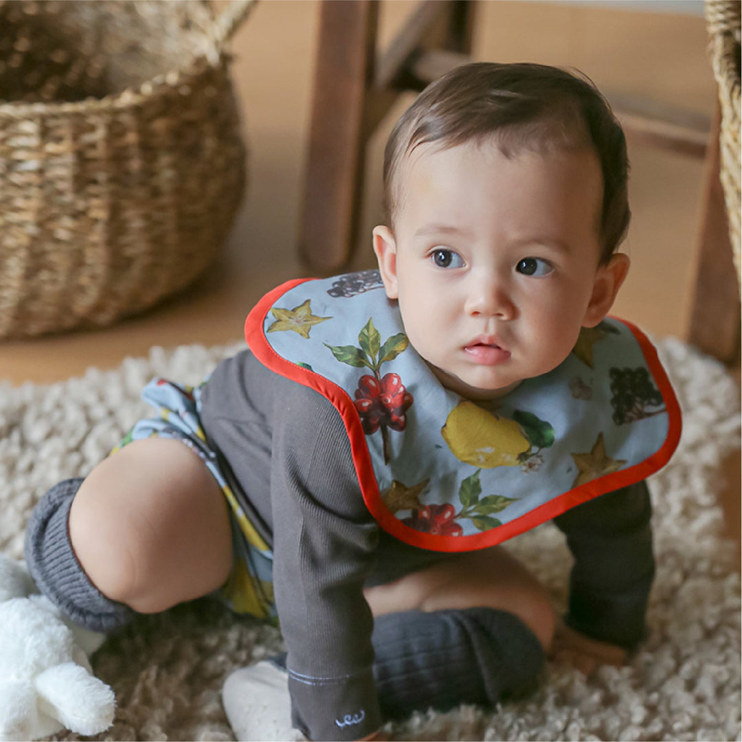 [SENOBITO]なぞなぞフルーツ 3種類