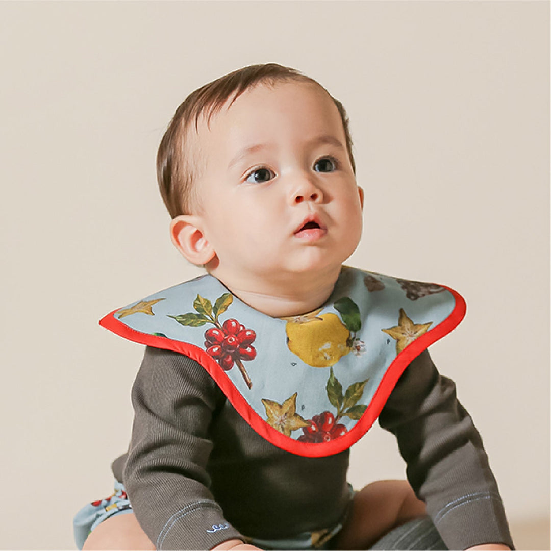 [SENOBITO]なぞなぞフルーツ 3種類