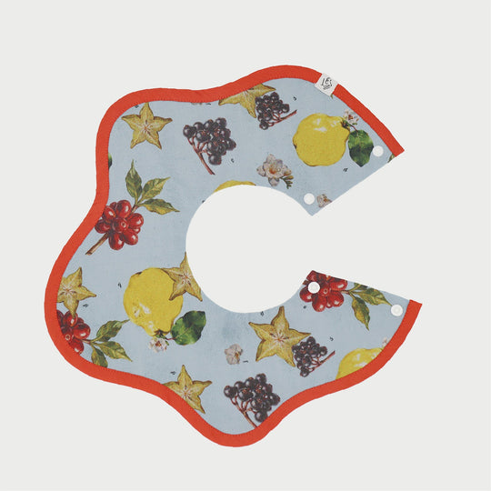 [SENOBITO]なぞなぞフルーツ 3種類