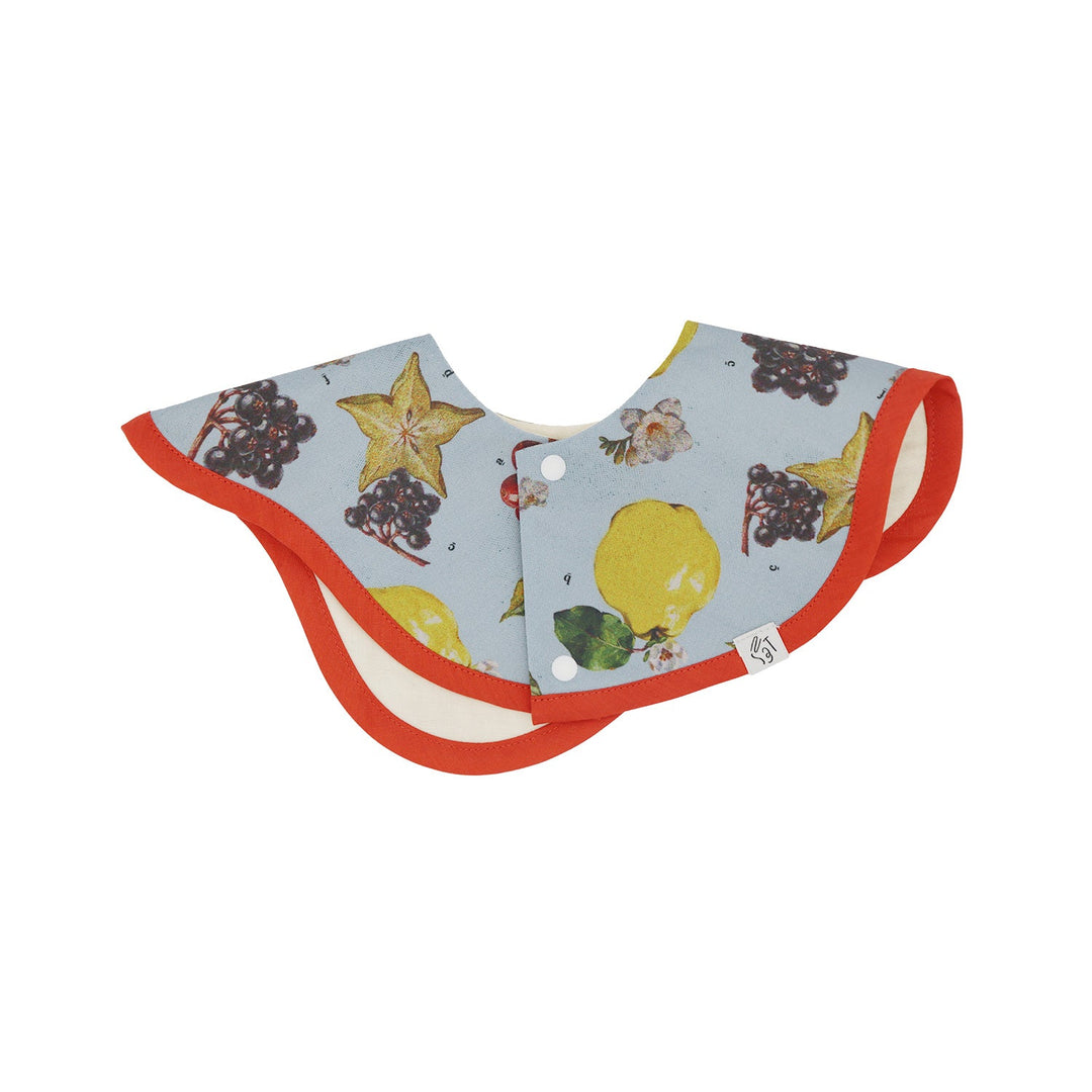 [SENOBITO]なぞなぞフルーツ 3種類