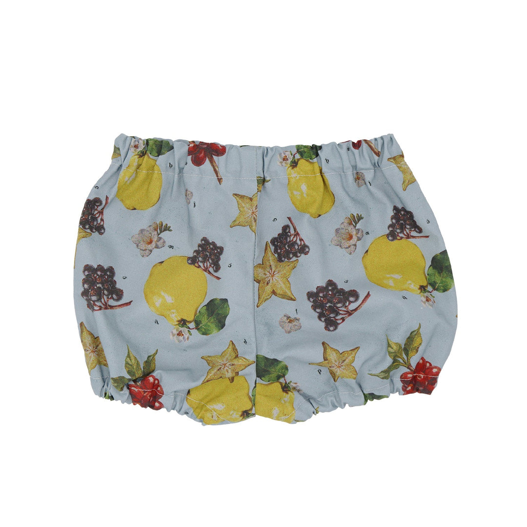 [SENOBITO]なぞなぞフルーツ 3種類