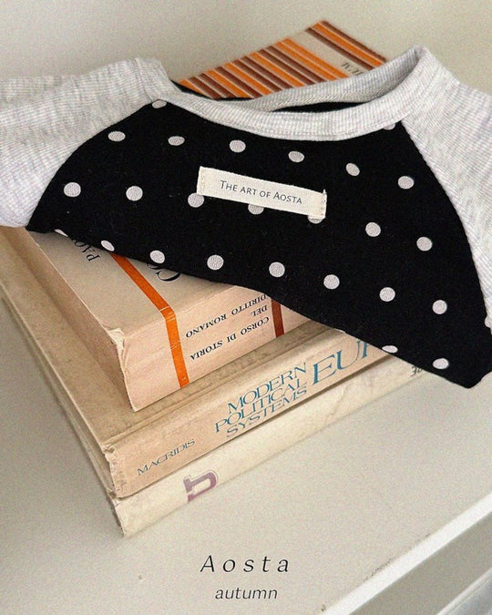 [AOSTA]Dot Raglan T