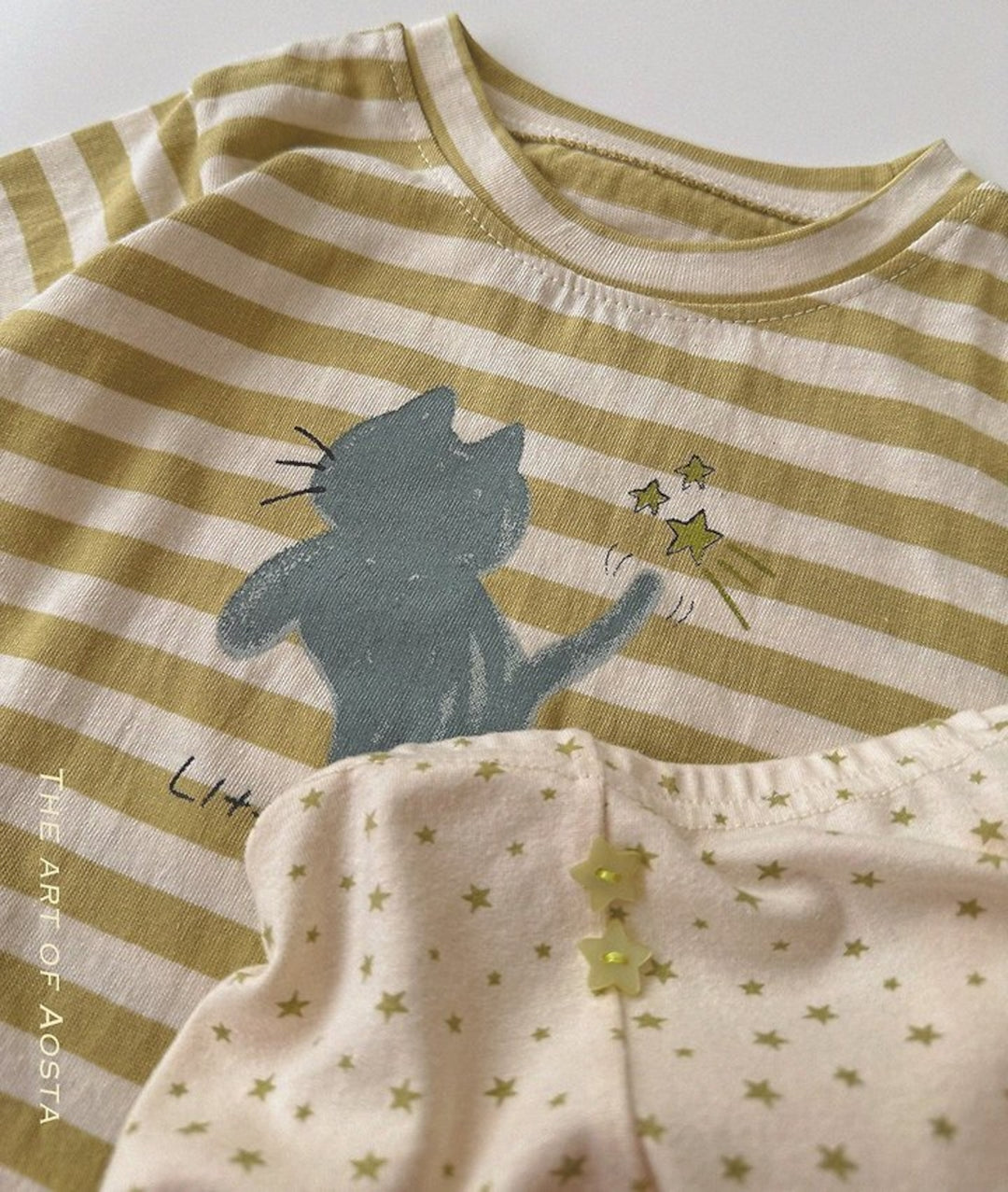 [AOSTA]Meow T