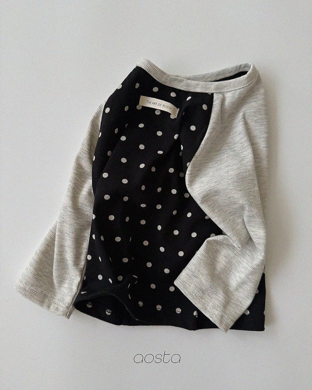 [AOSTA]Dot Raglan T