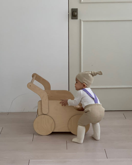 [oatmeal]radia polar T