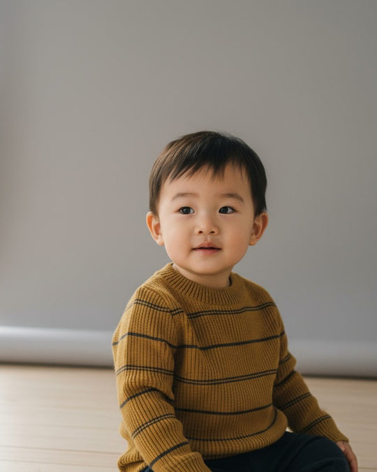 ダブルラインボーダーニット